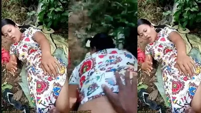 ပါတိတ်ဝမ်းဆက်နဲ့ အန်တီကြီး