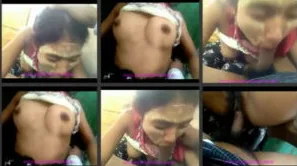 အညာသူပါးကွက်ကြားလေးနဲ့