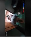 ဒါမျိုးကြီးက လန်ထွက်နေတာဘဲ