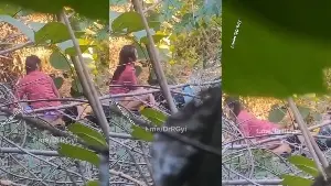 တောထဲမှာ ဘဲကိုတက်ဆောင့်ပေးပြီးခိုးစားနေကြတဲ့စုံတွဲ ချောင်းရိုက်